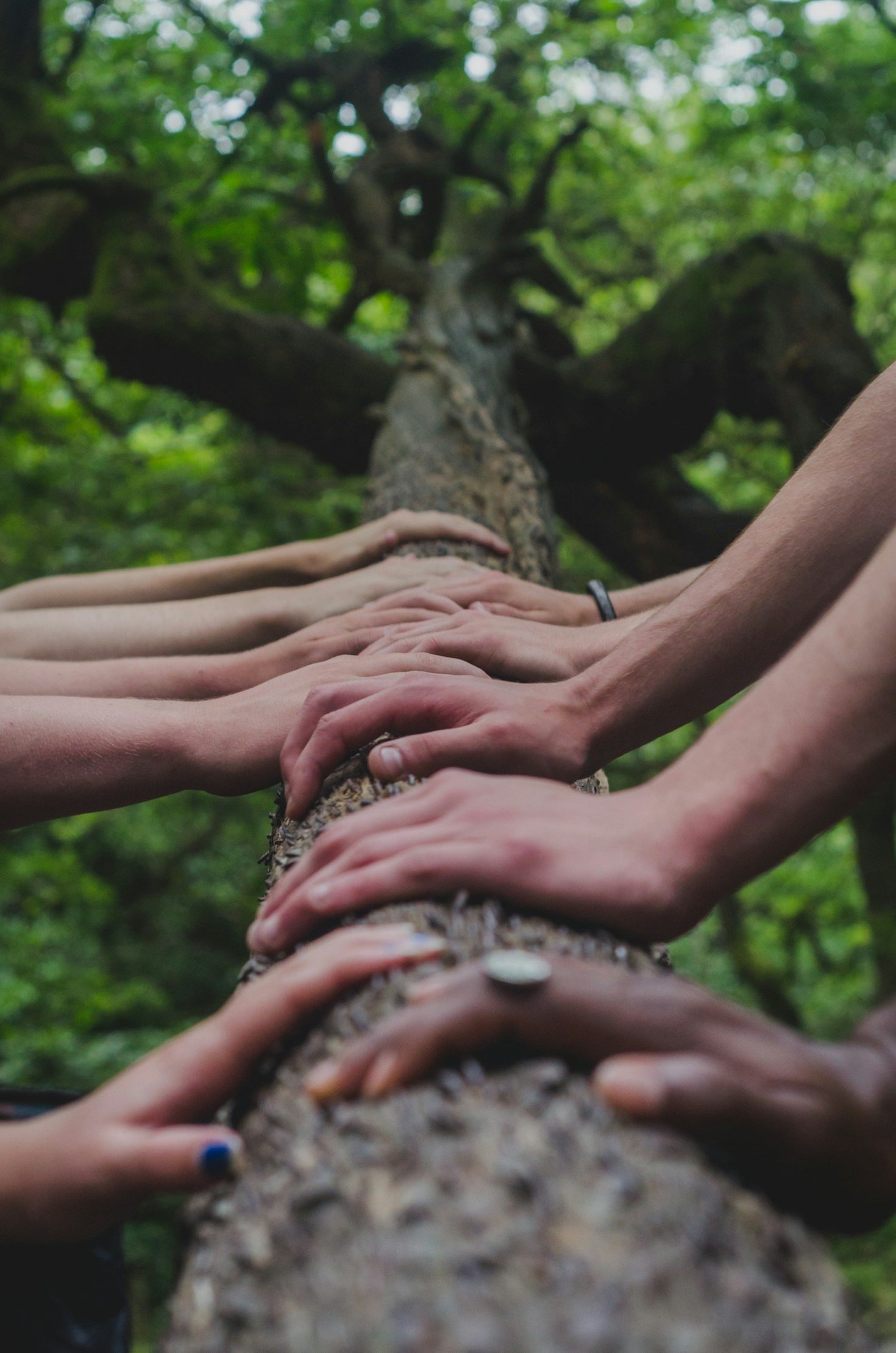 Strategies for Empowering African Communities Worldwide